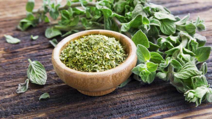 Origan, herbe aromatique méditerranéenne