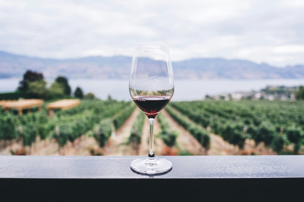 vin rouge fond mer