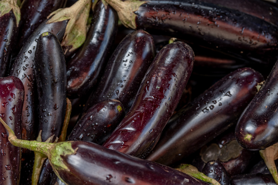 aubergines