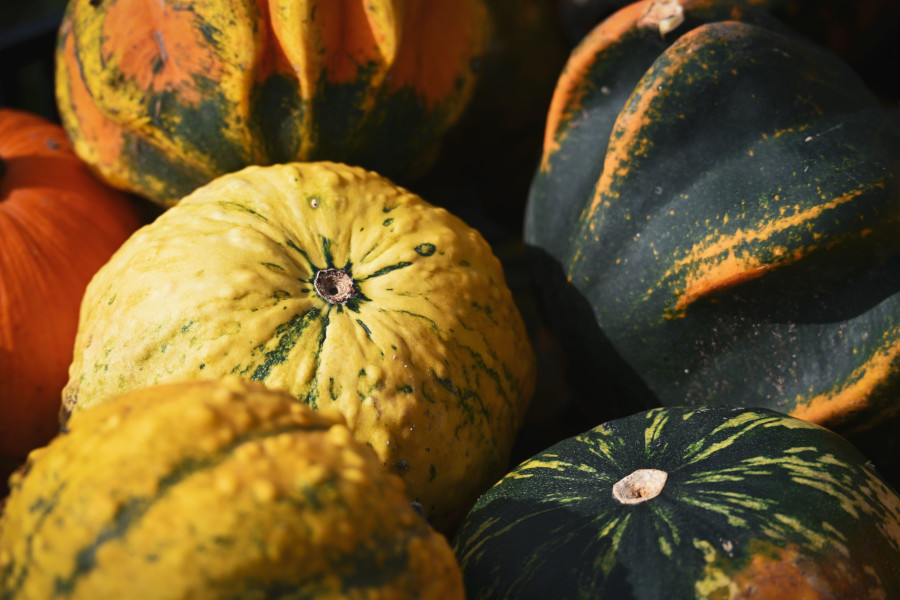 courges