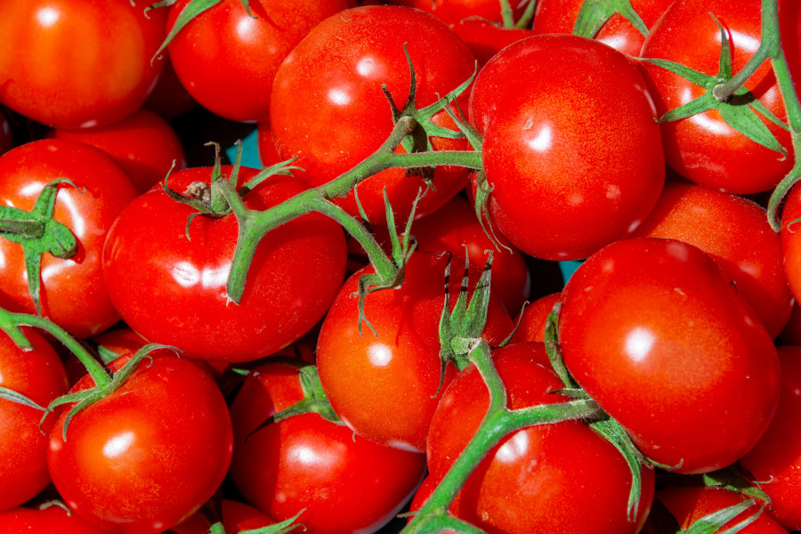 tomates